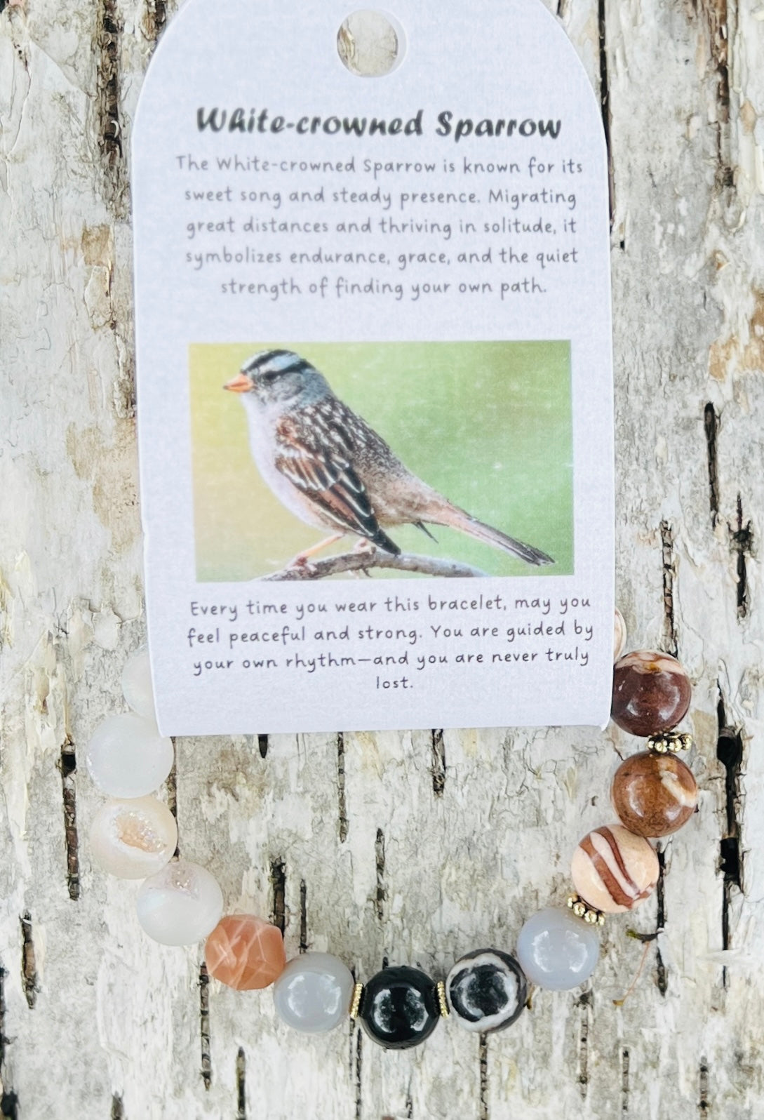 White-crowned Sparrow