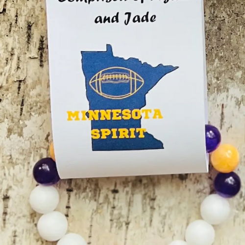 Minnesota Pro Football Vintage