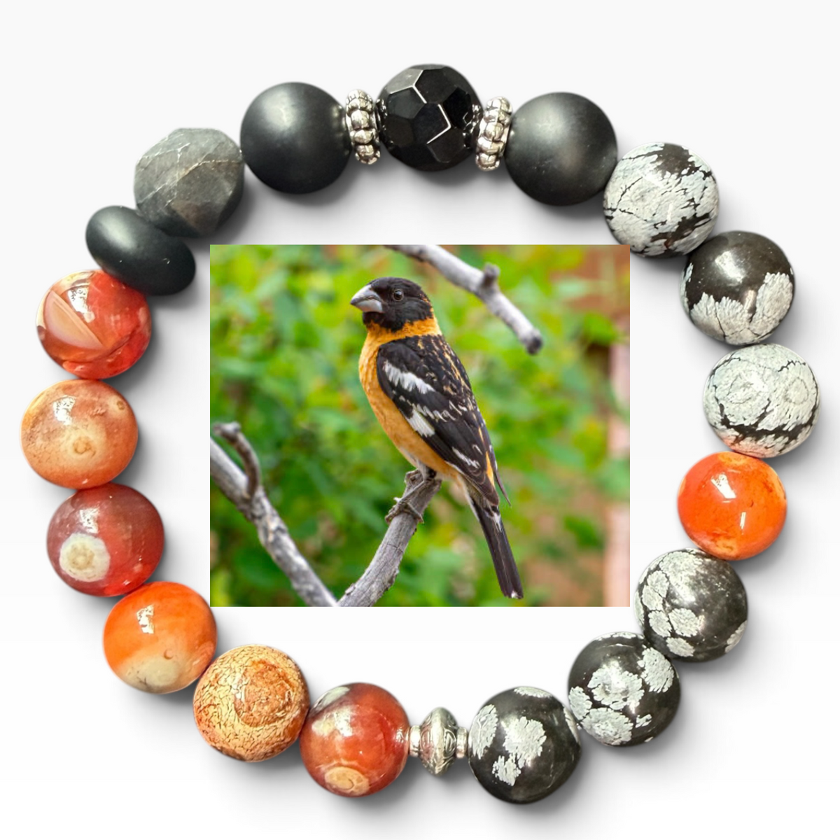 Black-headed Grosbeak