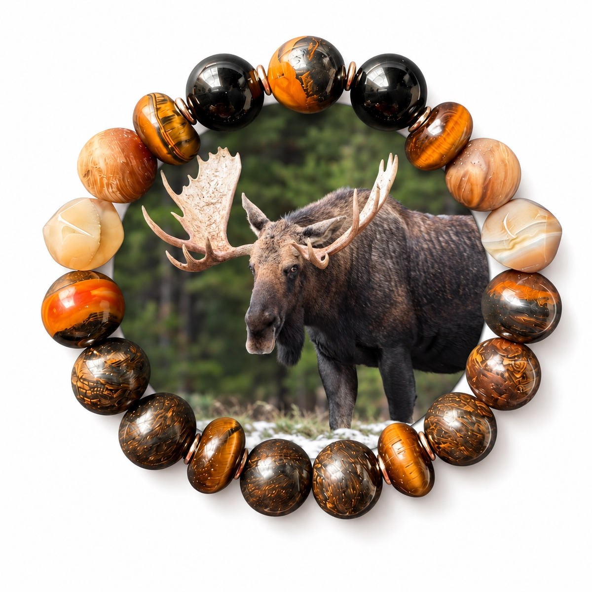 Moose
