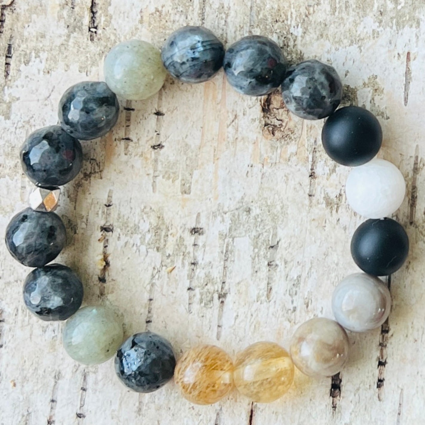 Black-Capped Chickadee