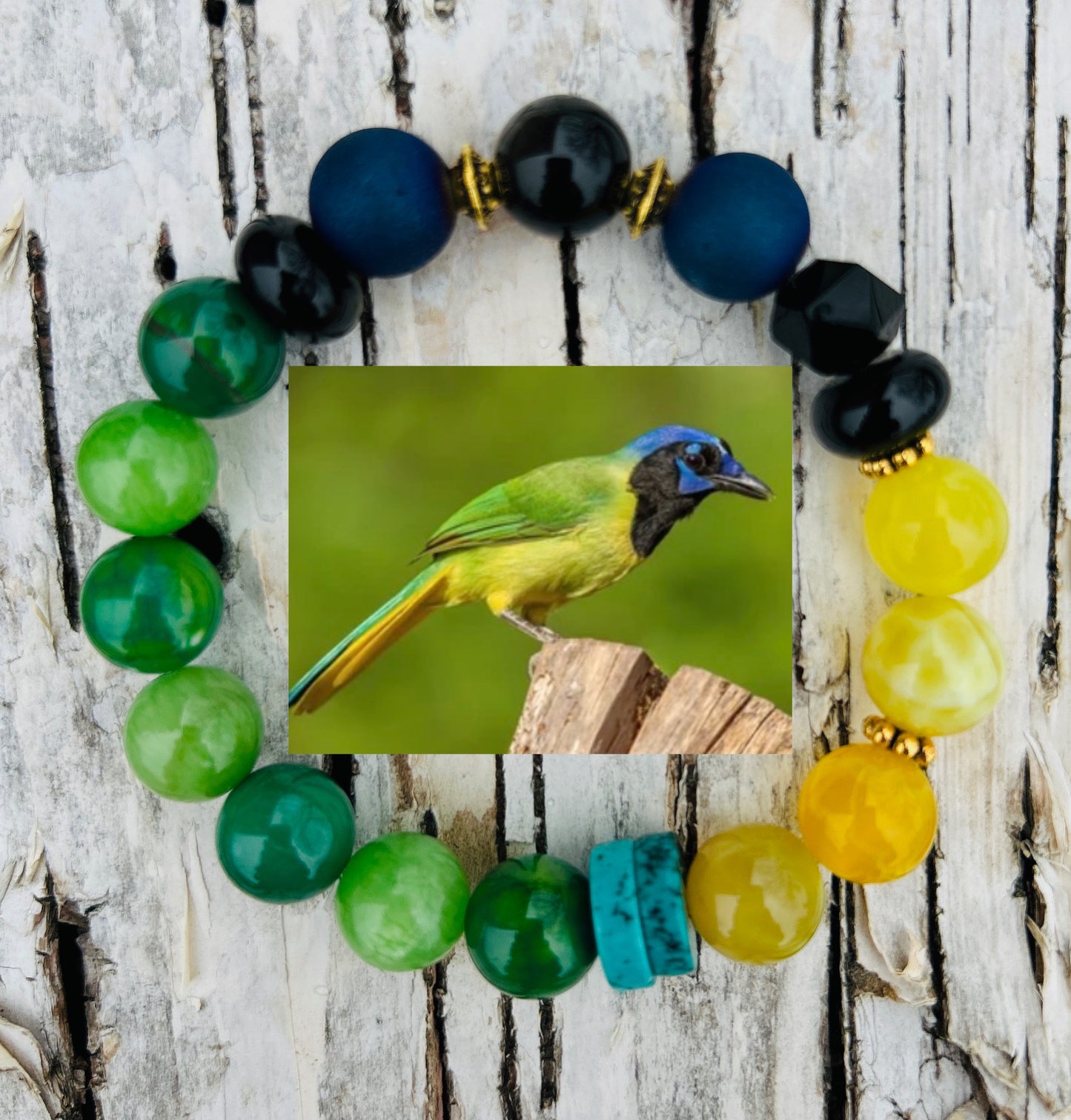 Green Jay