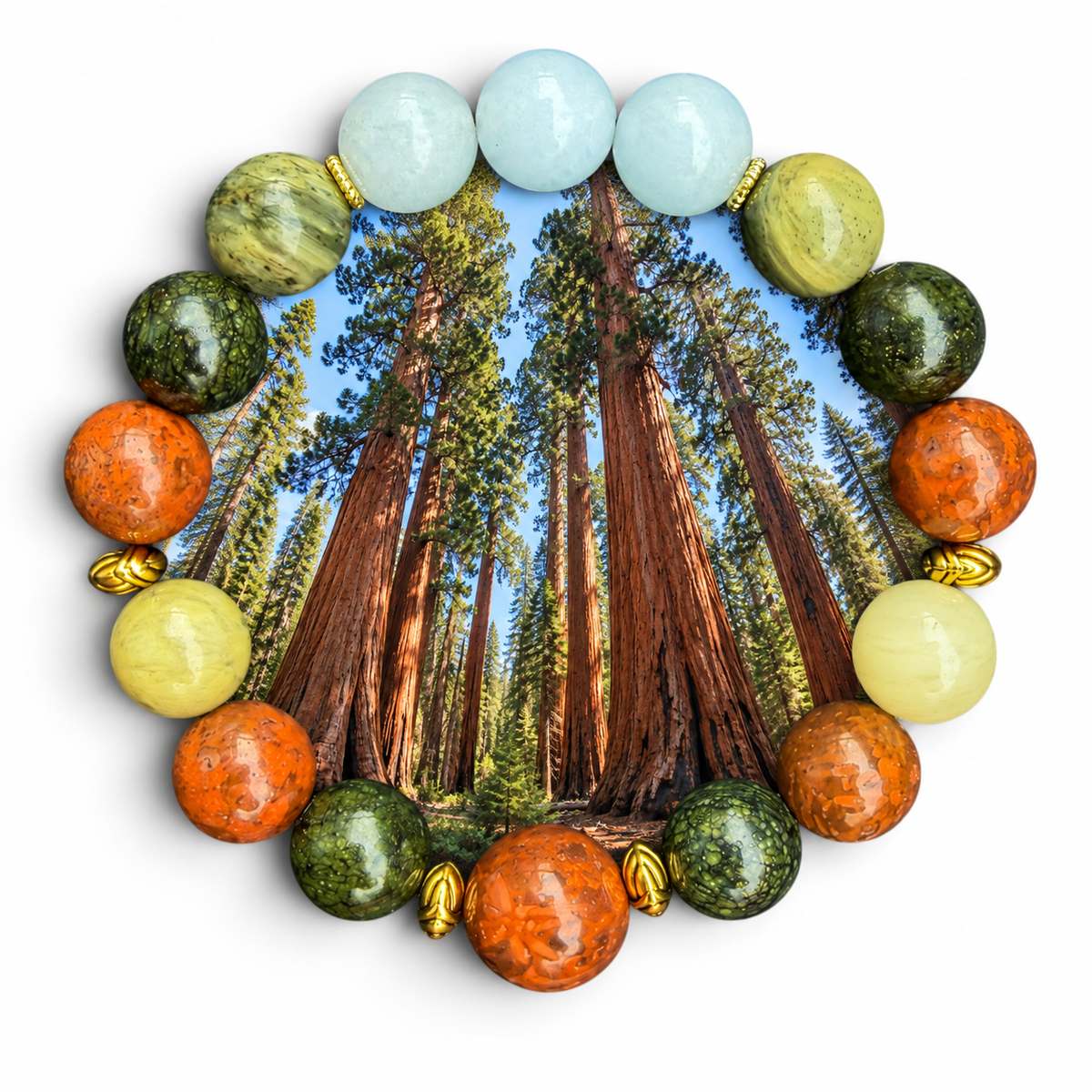 Sequoia National Park