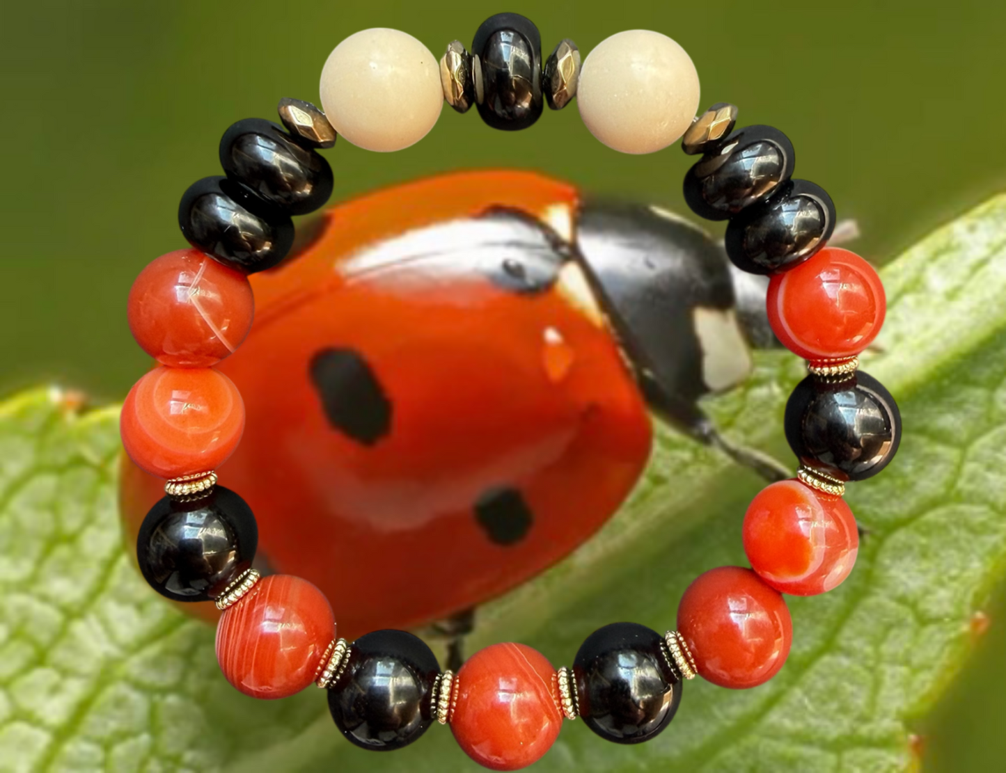 Ladybug