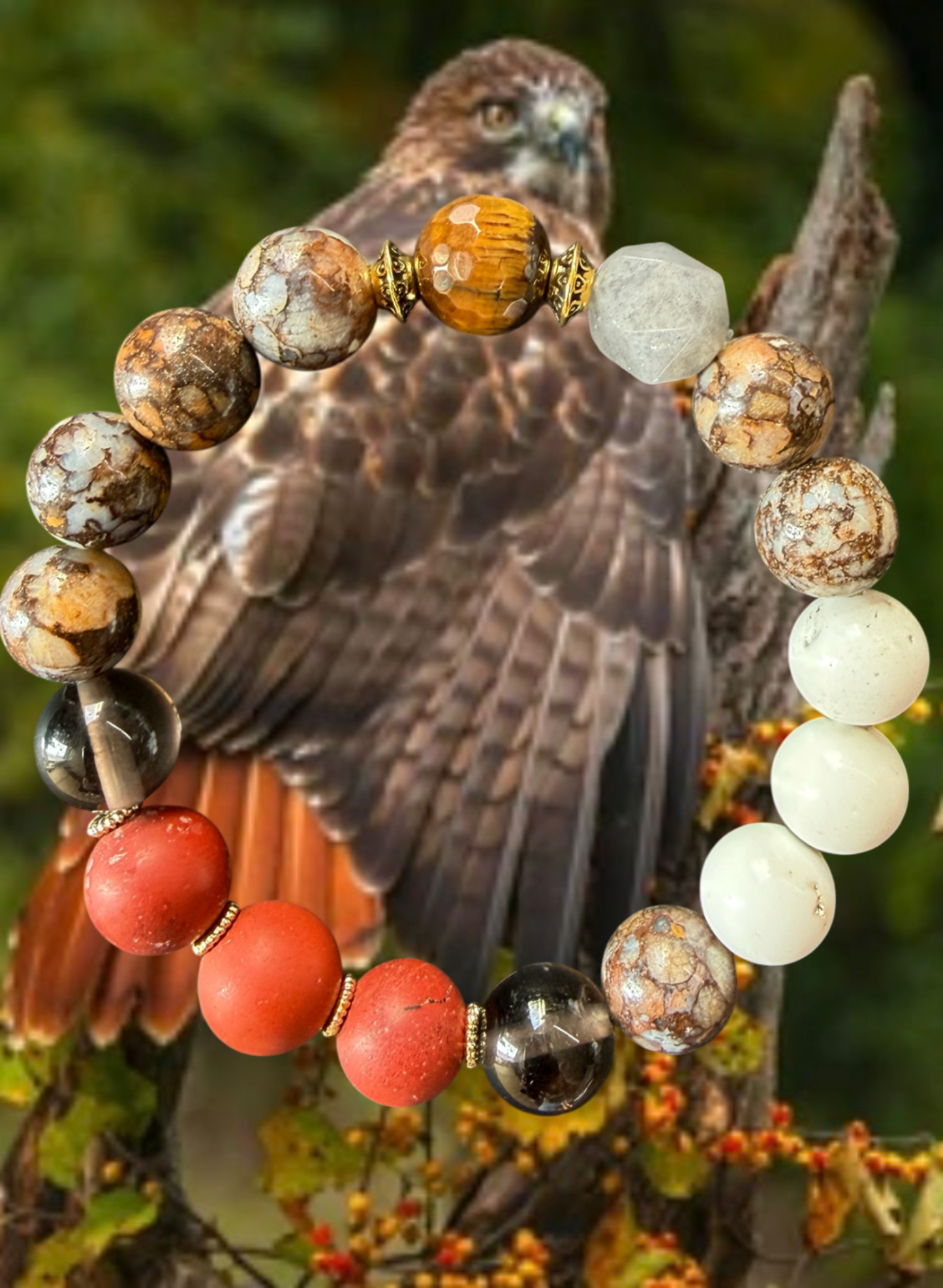 Red-Tailed Hawk