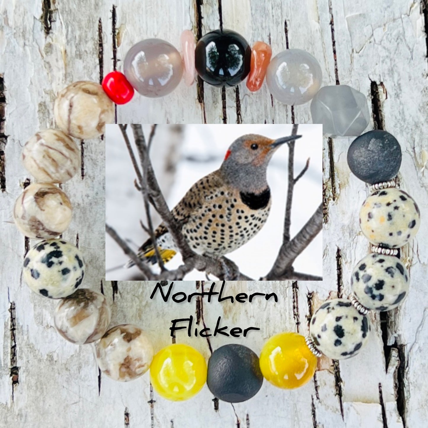 Northern Flicker