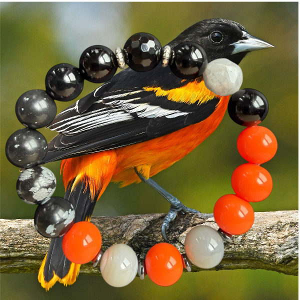 Baltimore Oriole