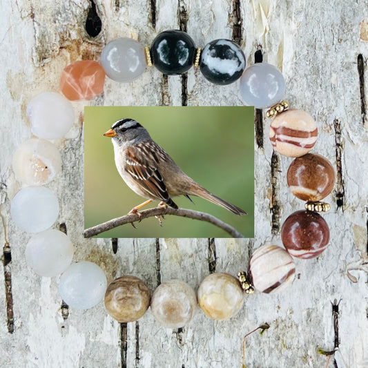 White-crowned Sparrow
