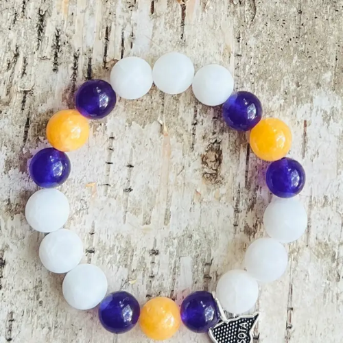 Minnesota Pro Football Vintage