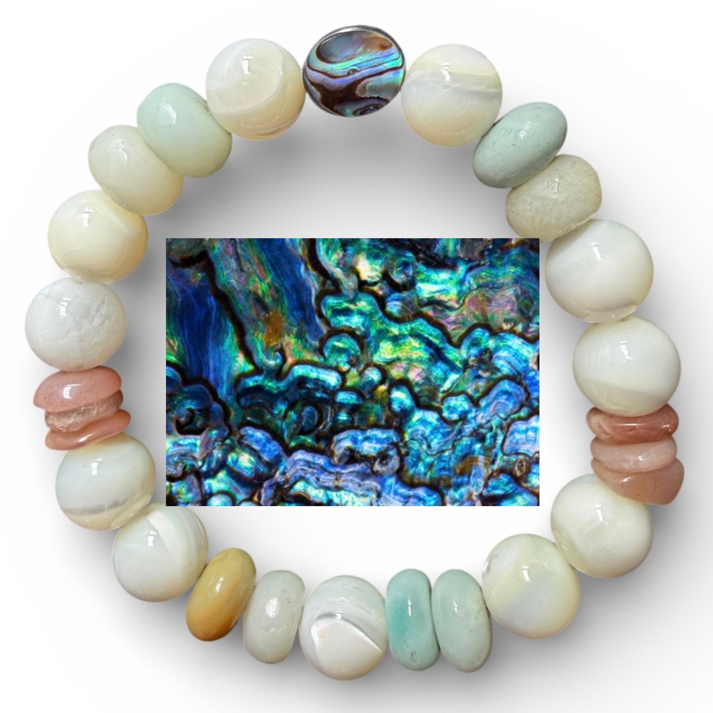 Abalone Shell