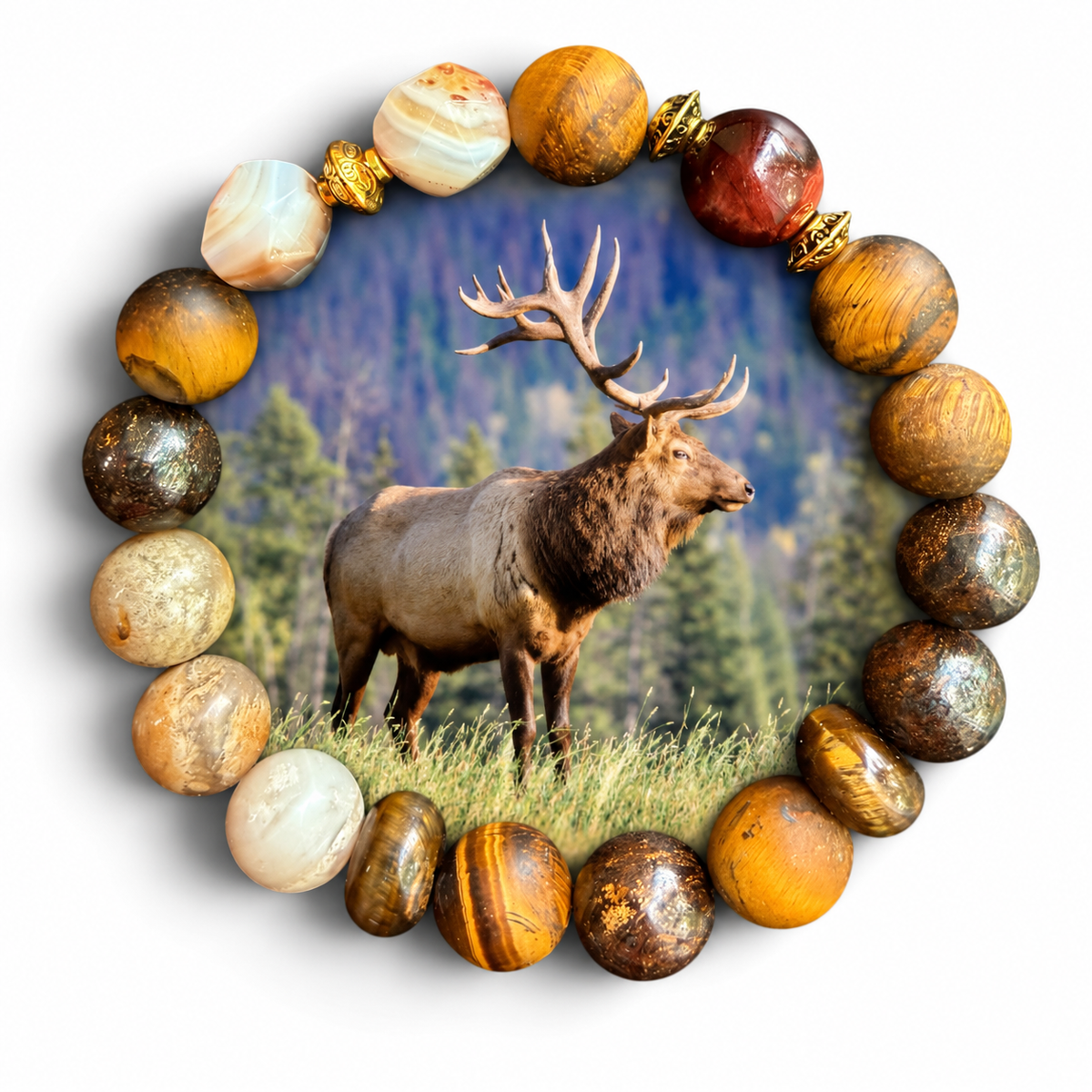 Elk