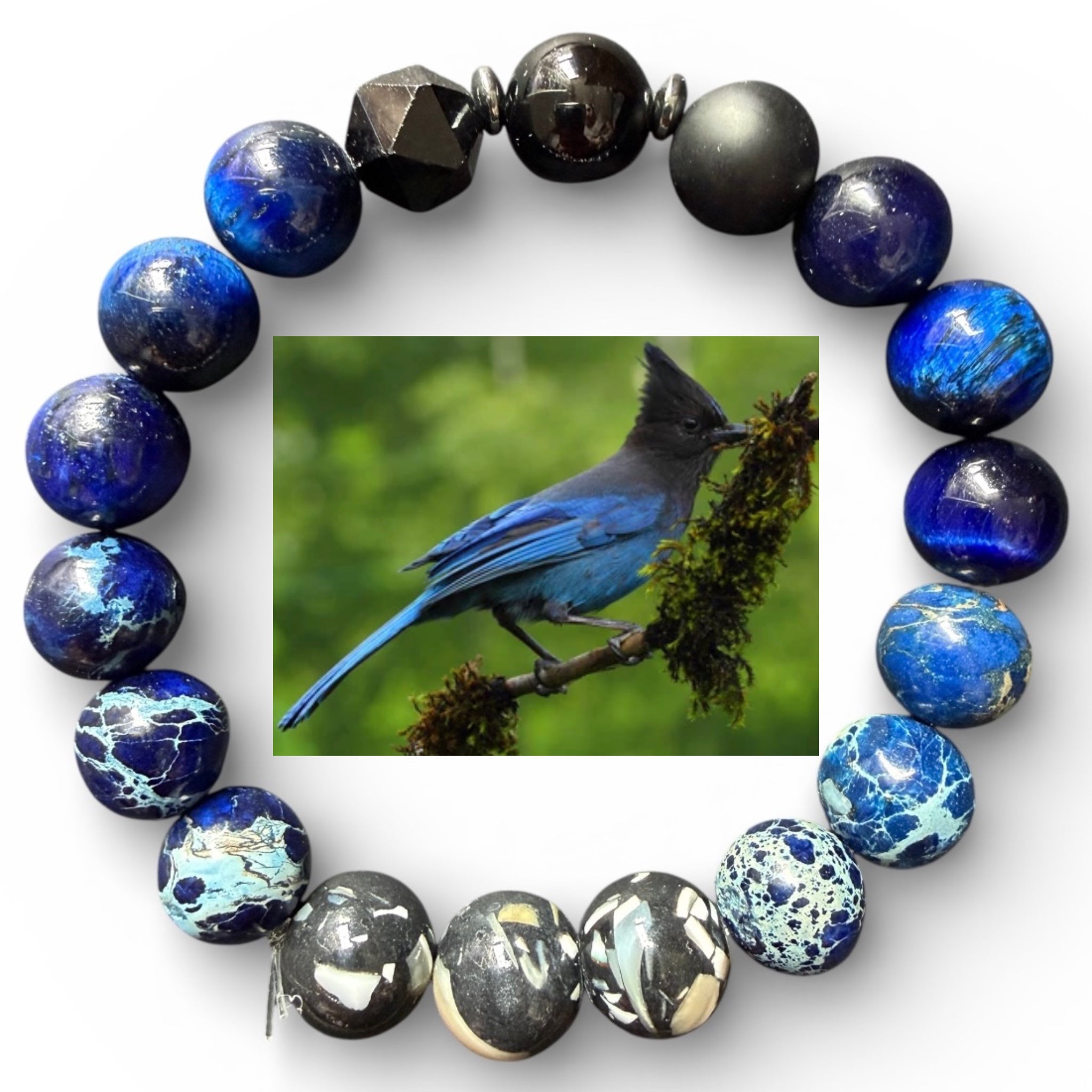 Steller's Jay Bracelet | Bird & Nature Jewelry – Embrace Our Souls