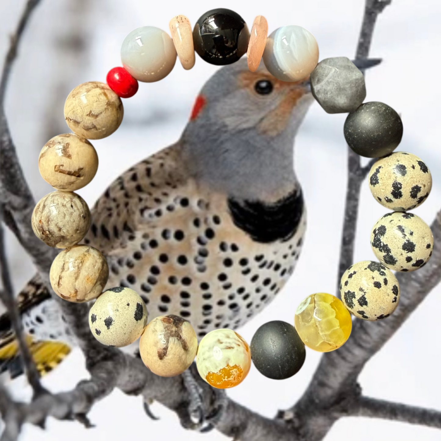 Northern Flicker