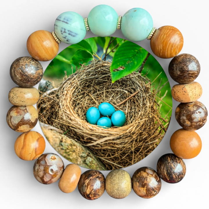 Bird Nest