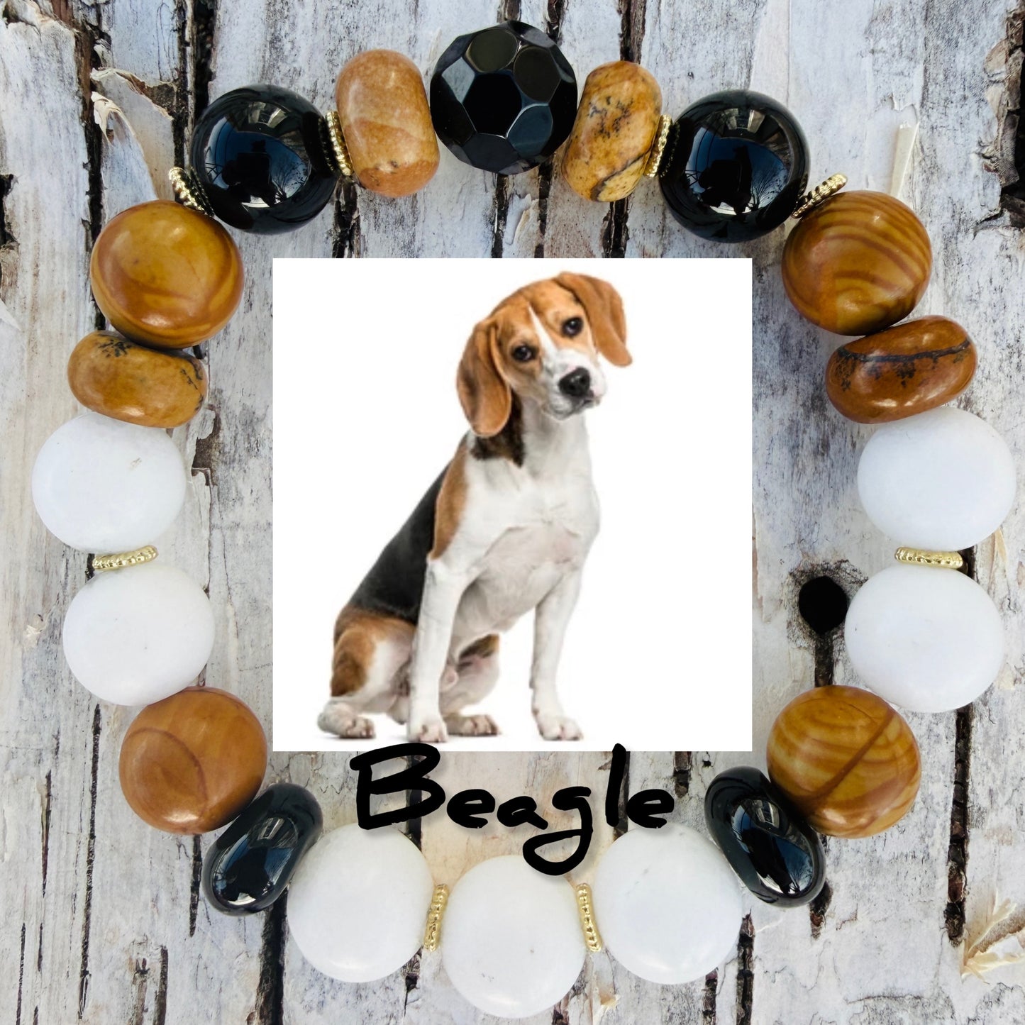 Beagle