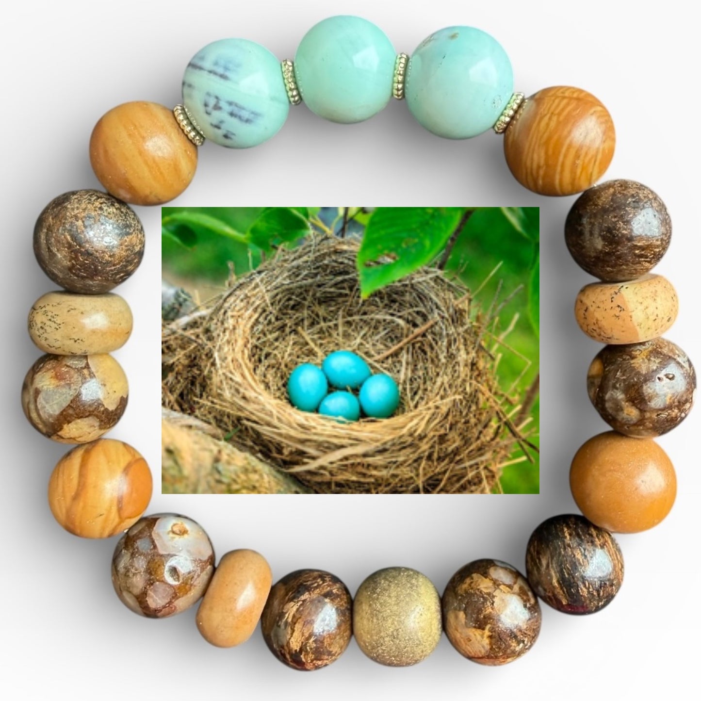 Bird Nest
