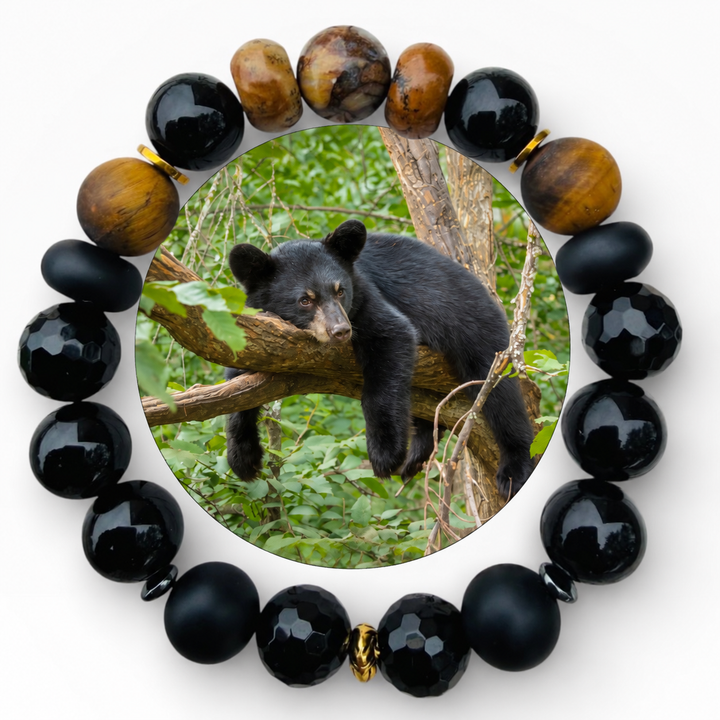 Black Bear