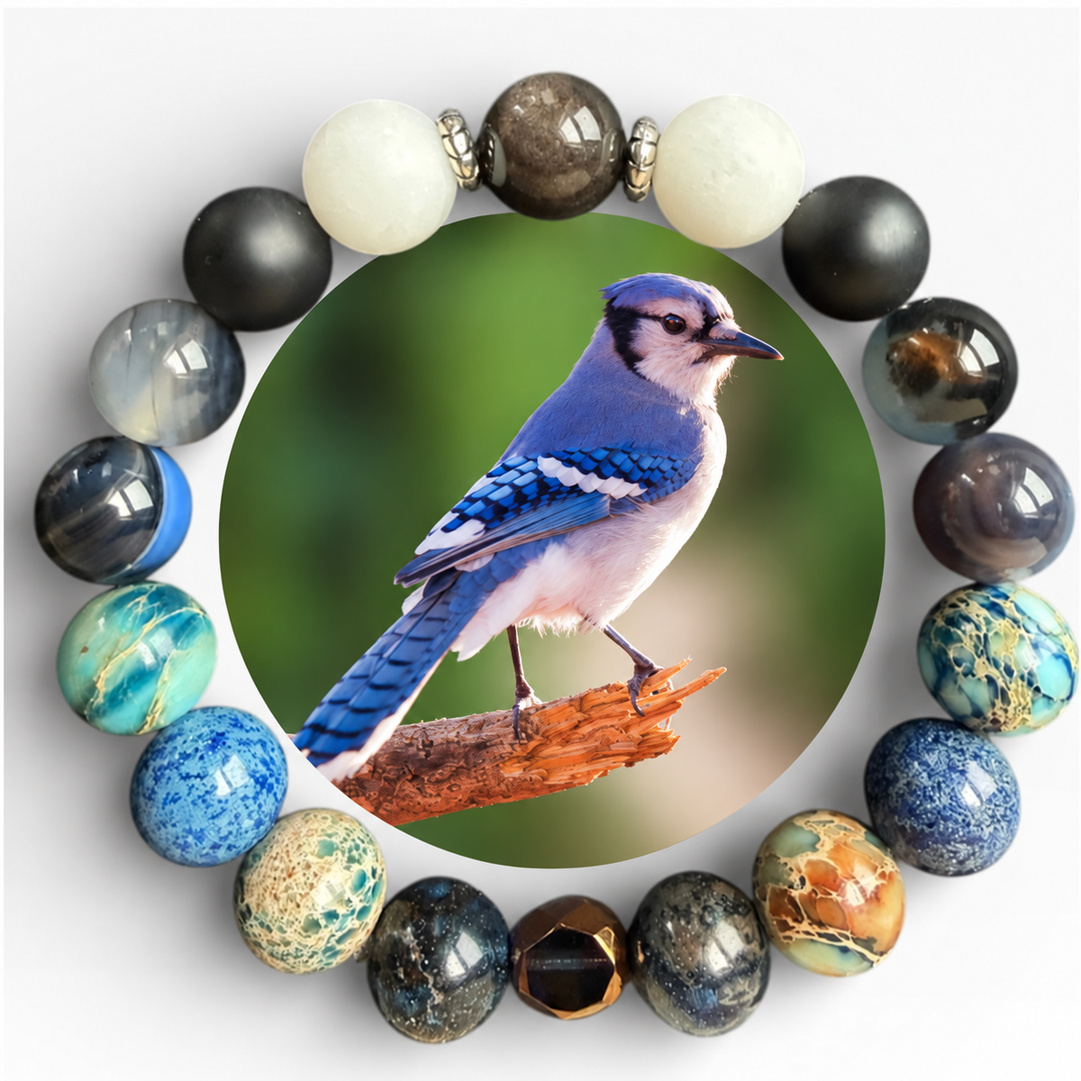 Blue Jay