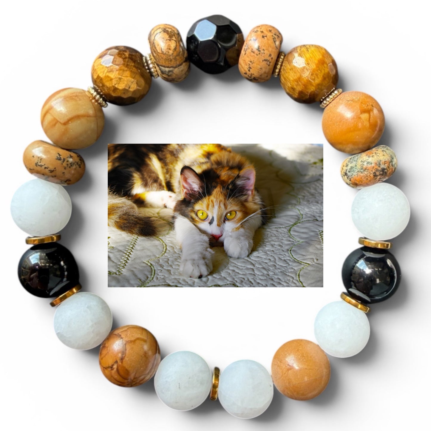 Calico Cat
