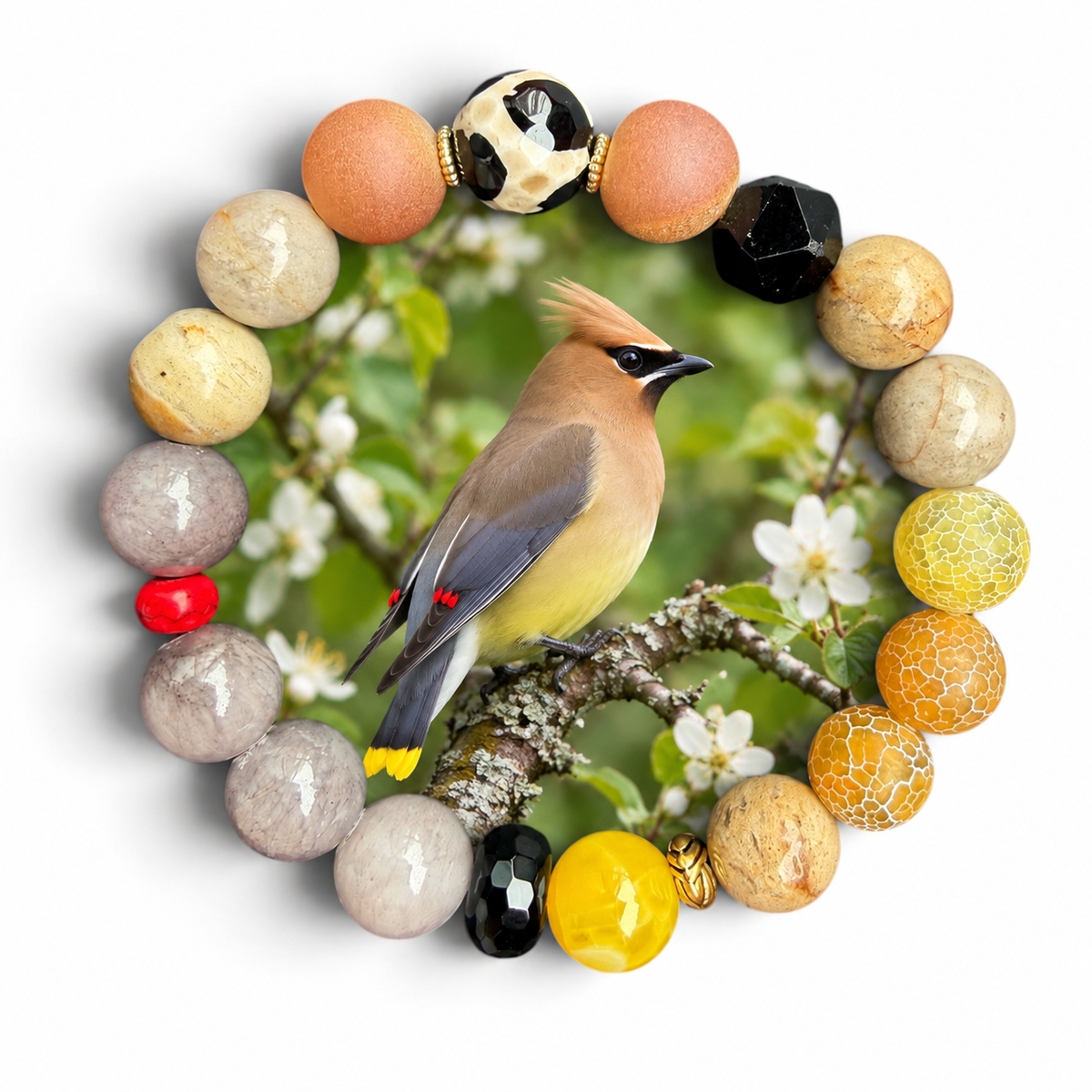 Cedar Waxwing