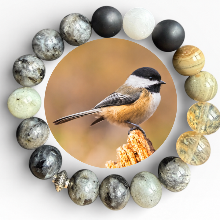 Black-Capped Chickadee