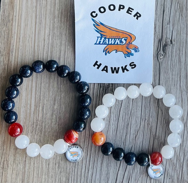 Robbinsdale Cooper Hawks School Spirit