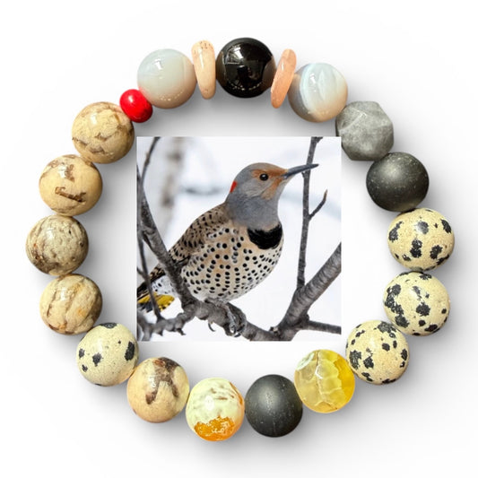 Northern Flicker