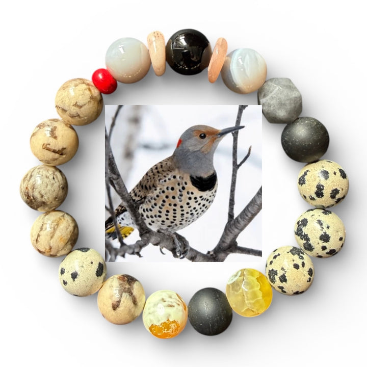 Northern Flicker