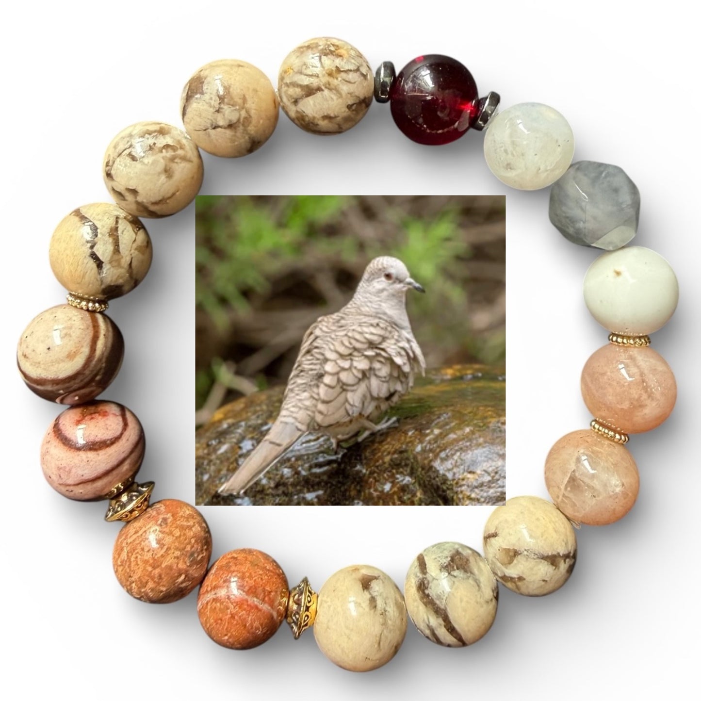 Inca Dove