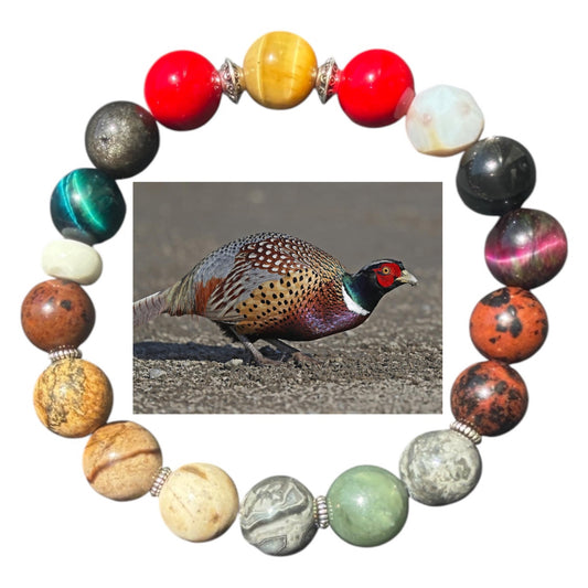 Ring-Necked Pheasant