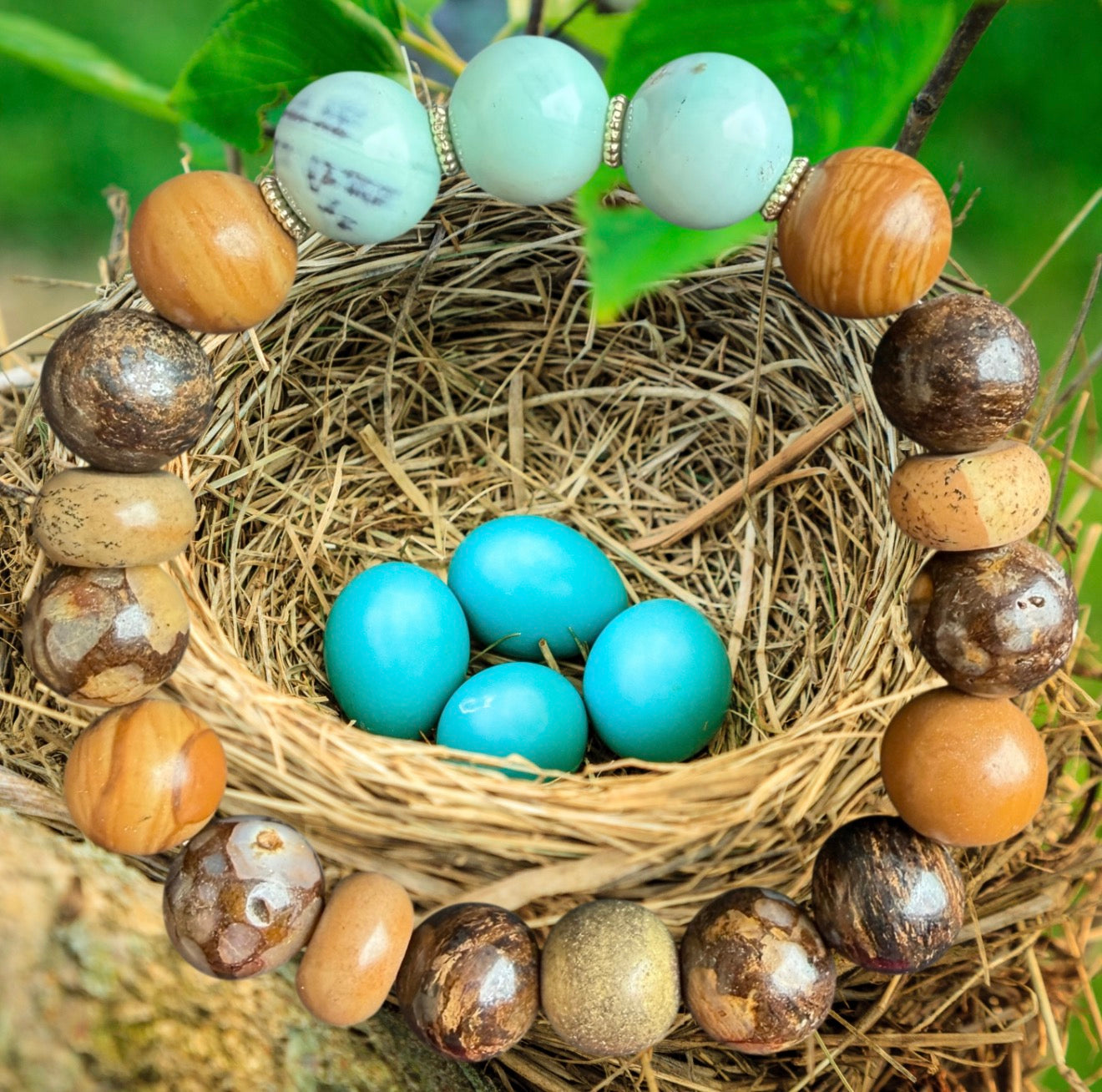 Bird Nest