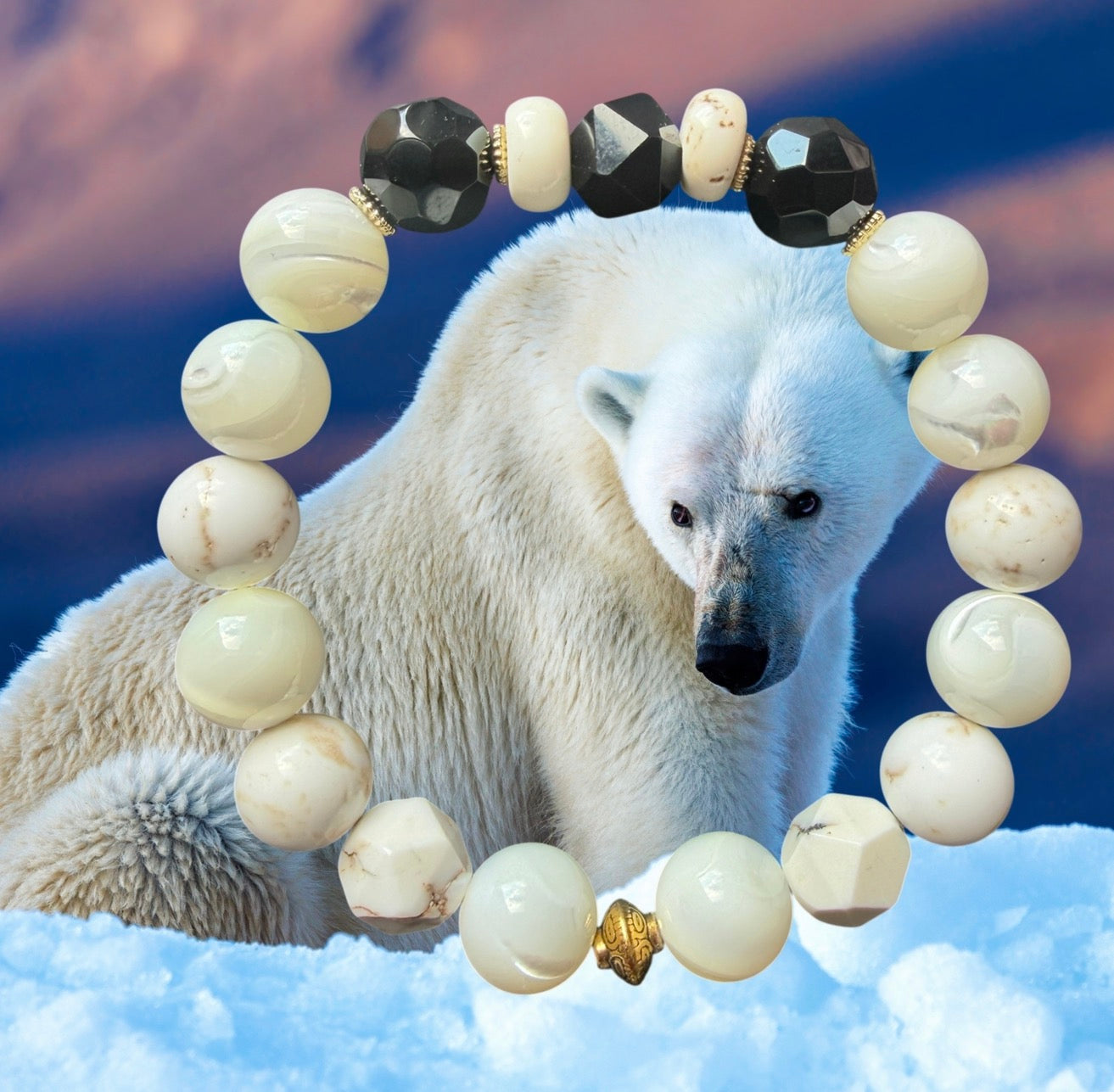 Polar Bear
