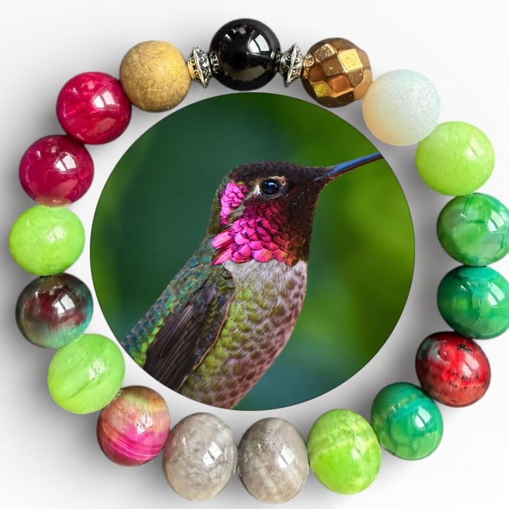 Anna's Hummingbird