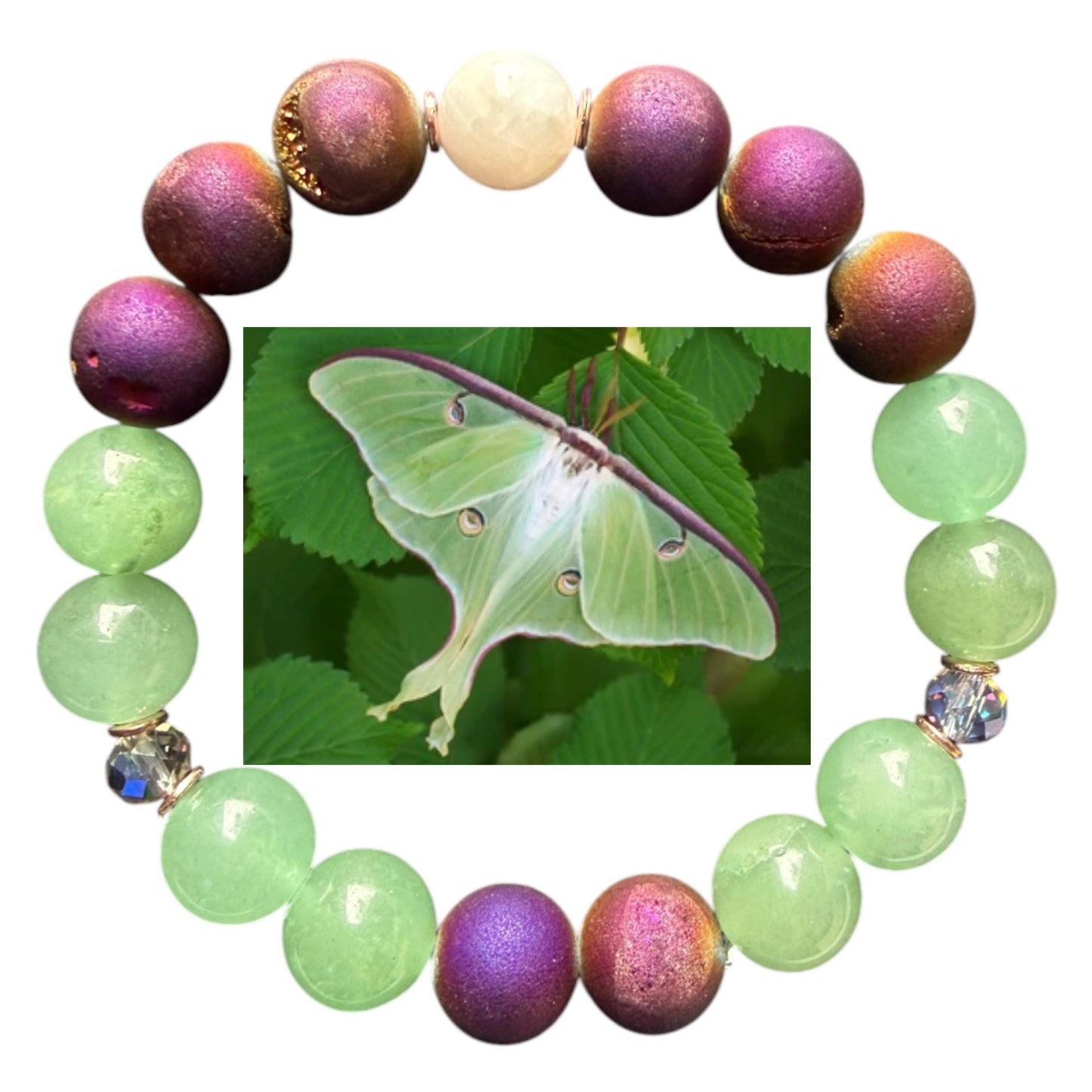 Luna Moth