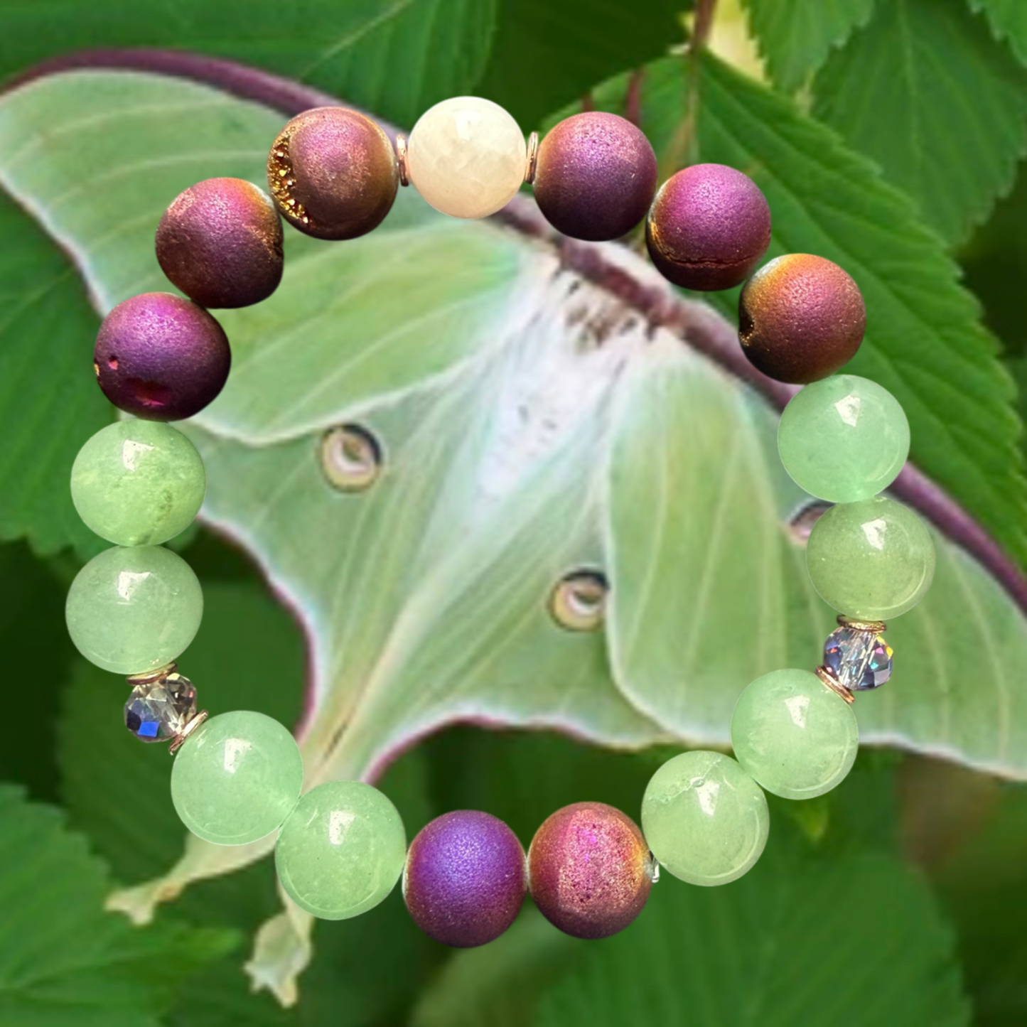 Luna Moth