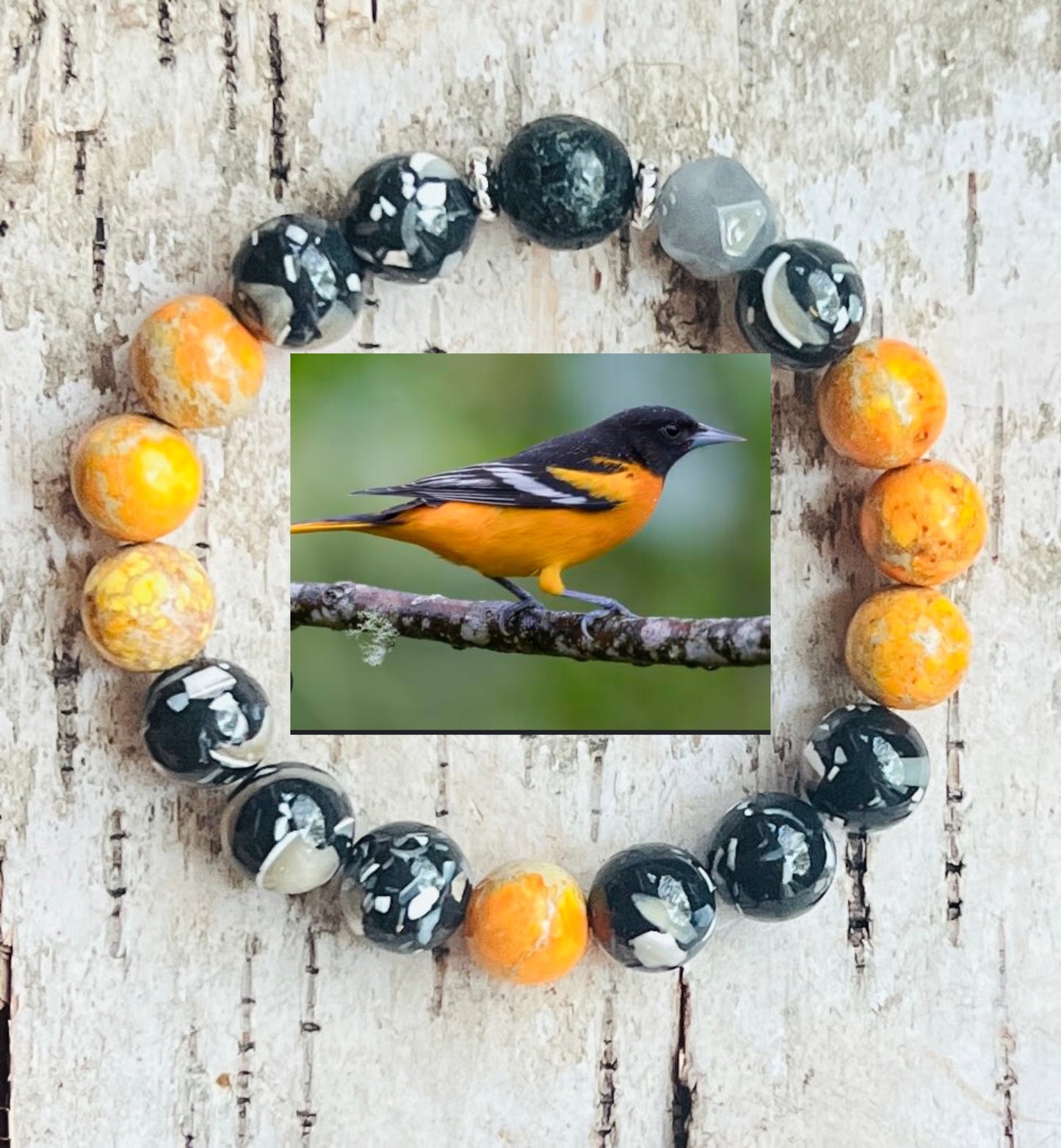 Baltimore Oriole