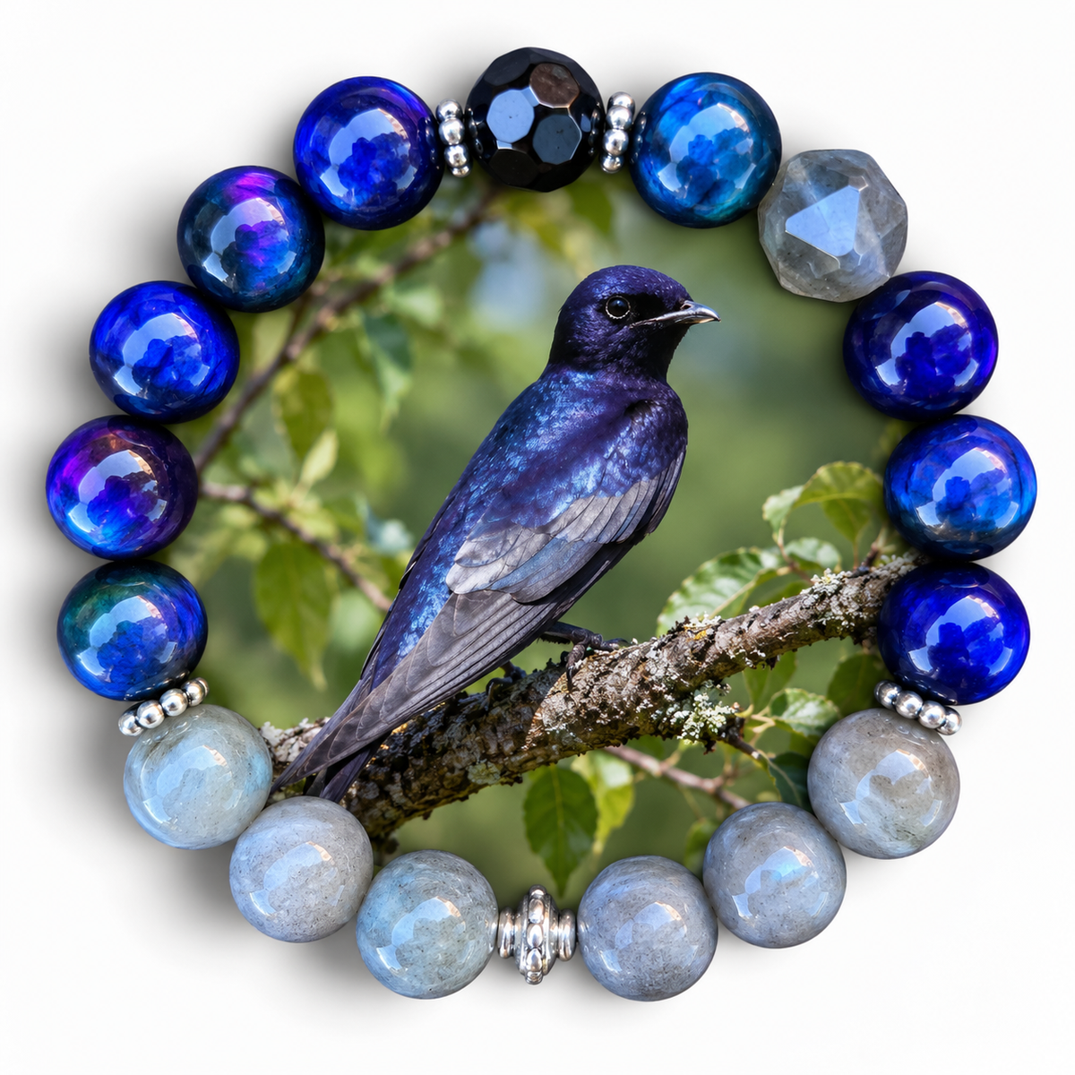 Purple Martin