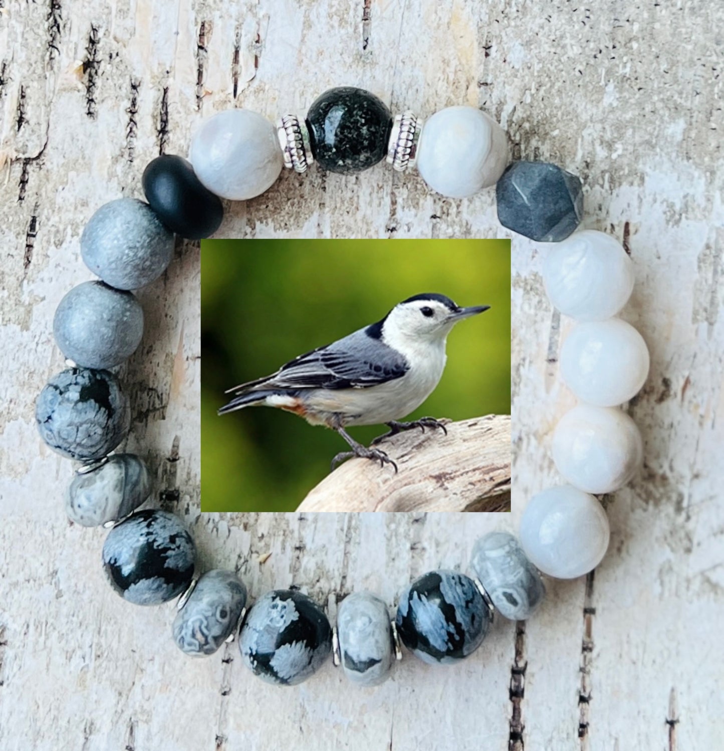 White-breasted nuthatch