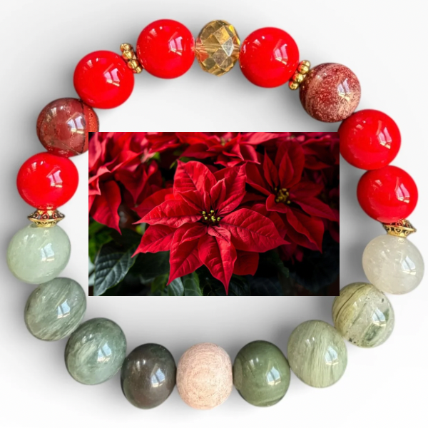 Poinsettia