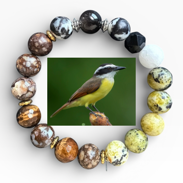 Great Kiskadee