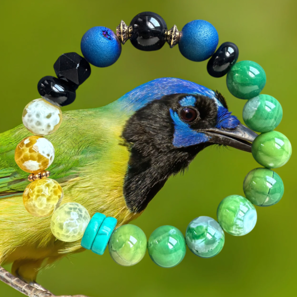Green Jay