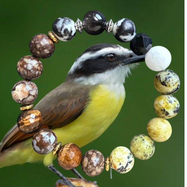 Great Kiskadee