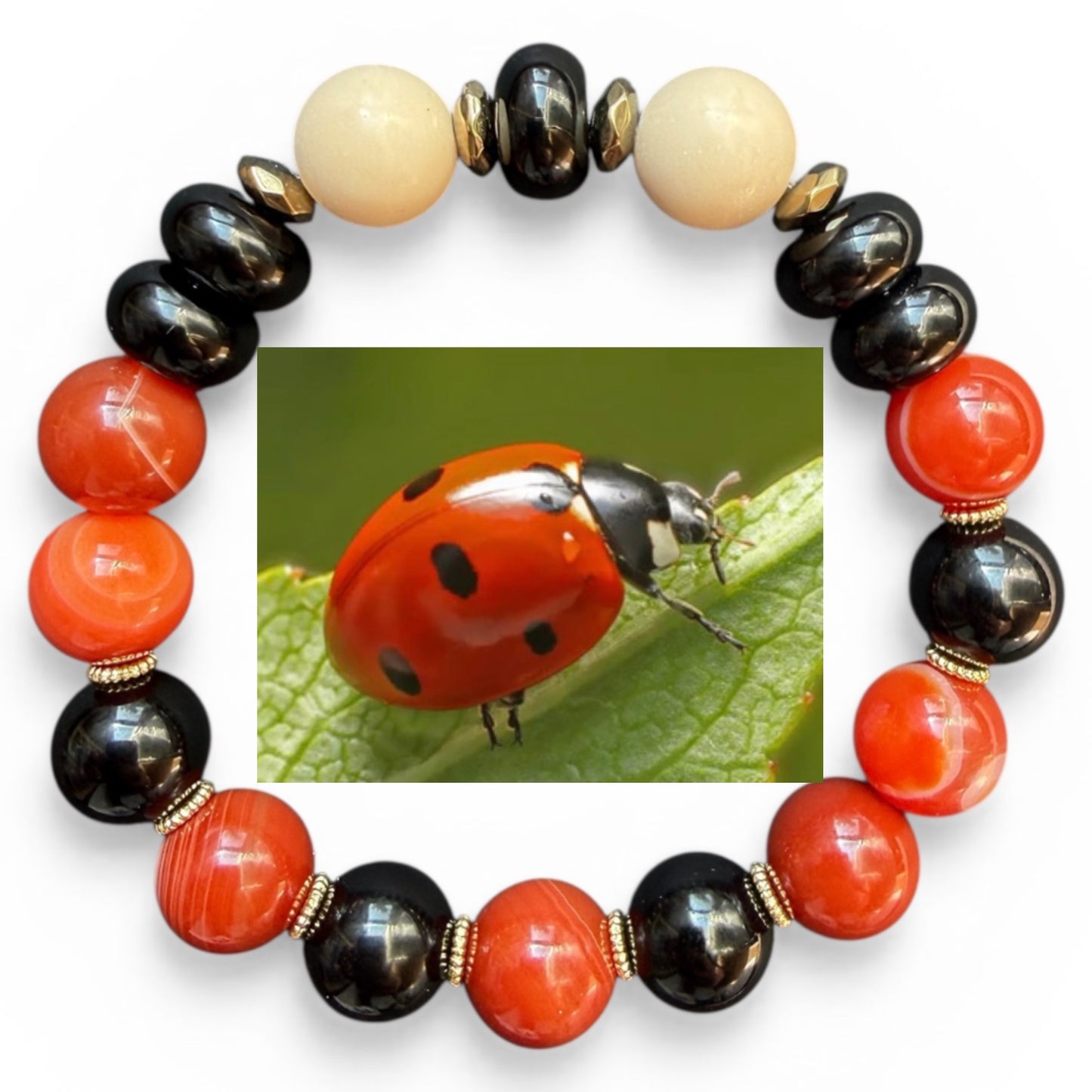 Ladybug