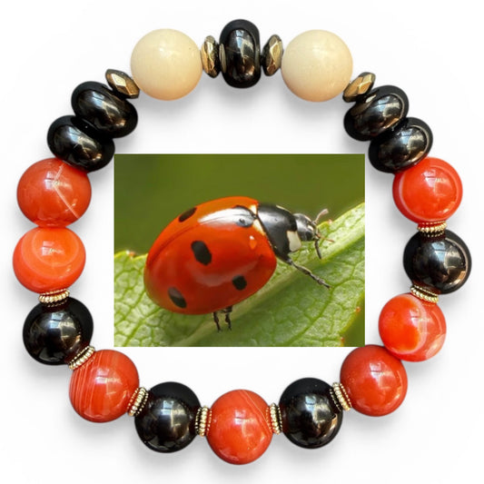 Ladybug