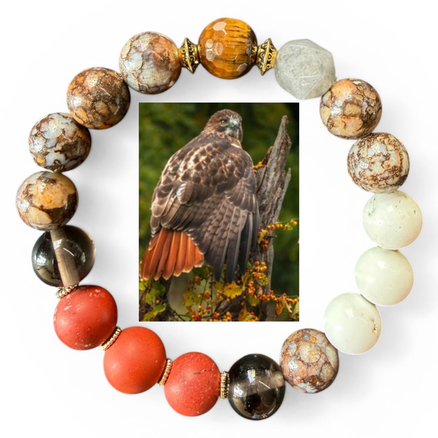 Red-Tailed Hawk