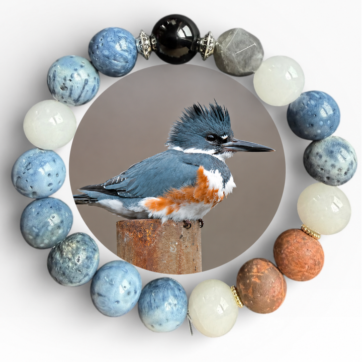 Belted Kingfisher