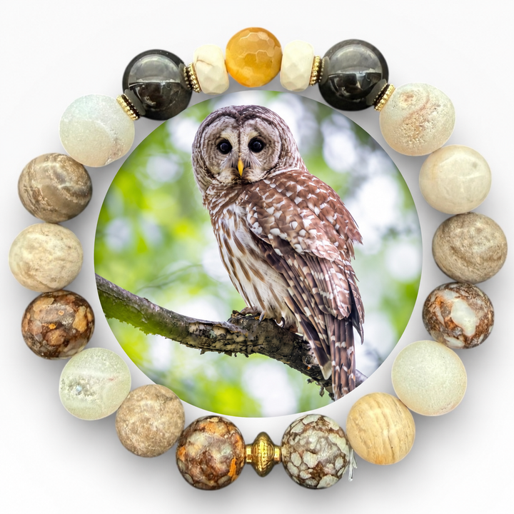 Barred Owl
