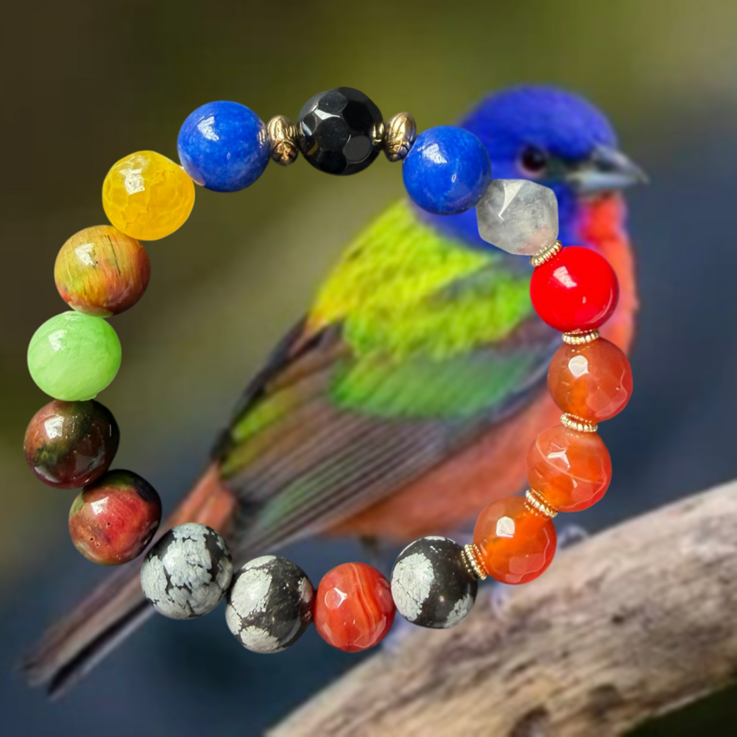 Painted Bunting