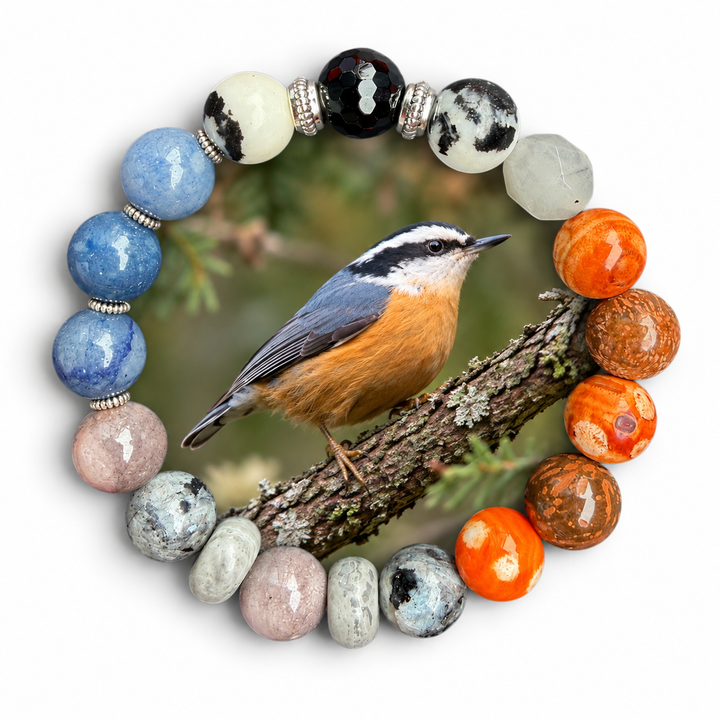 Red-breasted Nuthatch