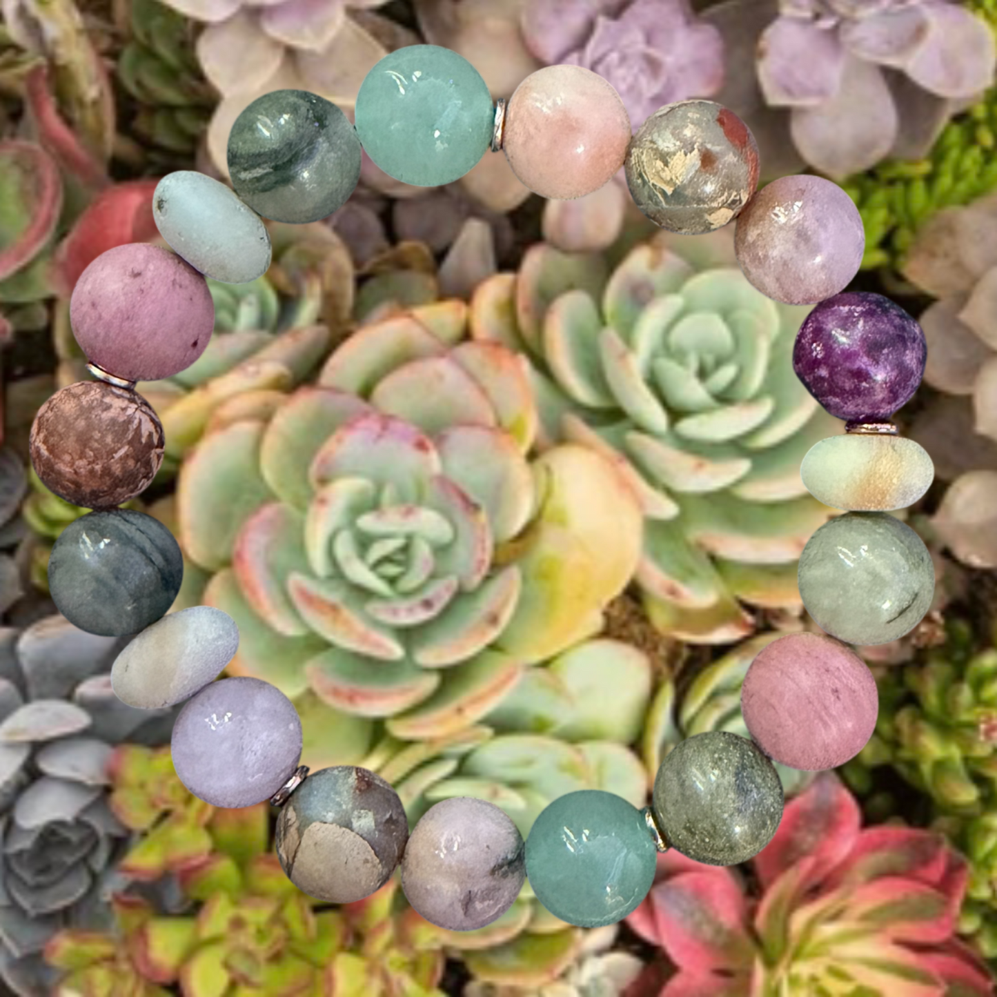Succulent